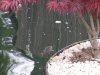 unser teich mai 2015 012.jpg