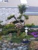 CAM00897.jpg