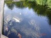 DSC05832.JPG