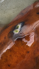 IMG_4467.PNG