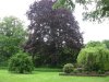 Gartenlandschaft 2015 004.JPG