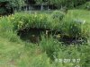 Teich1.jpg