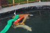 img_3152.jpg