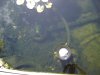 DSC05928.JPG