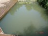 DSC05996.JPG