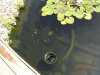 DSC05993.JPG