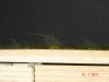 DSC05991.JPG