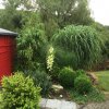 K640_garten 001.JPG