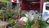 DSC_1796.JPG