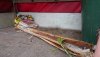 DSC_1793.JPG
