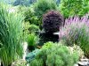 Teich August 2012  07.JPG