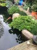 IMG_8545.JPG