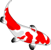 fish-159327_1280.png