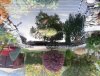 20151010_180444.jpg