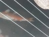 20151010_180825.jpg