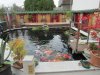 z-neue bilder 001.jpg