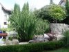 DSC01882.JPG