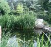 DSC01884.JPG