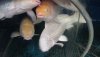20151130_134857.jpg