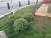 Garten 4.jpg