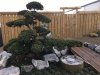 Garten 3.jpg