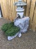 Garten 8.jpg