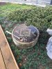 Garten 5.jpg