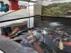 Outdoorbecken 1.jpg