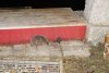 DSC01251.JPG