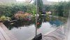 Web-Teich-3.jpg