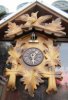 zz-neue kuckuck 2 003.jpg