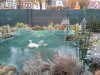 20151025_111526.jpg