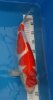20160222_055840.jpg