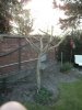 PICT0697.JPG