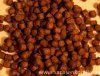 Mykoi food Premium mit Astaxanthin1.jpg
