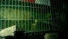 IMG-20160504-WA0011.jpg
