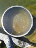 20160505_115413.jpg