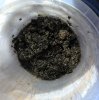 IMG_20160508_173014.jpg