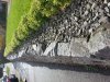 k-20160412_100931.jpg