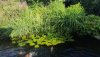 20160805_184929.jpg