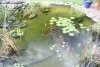 K1024_IMG_2287.JPG