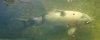 K800_DSC_3811.JPG