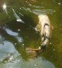 IMG-20160914-WA0016.jpg