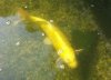 IMG-20160914-WA0011.jpg