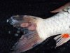 IMG_20161009_152952_angepasst.jpg