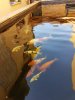 20160807_110635.jpg