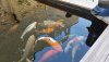 20160807_130126.jpg