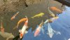 20160807_130120.jpg