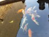20160807_130045.jpg