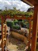 20160903_143350.jpg